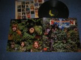 画像: SAVOY BROWN - A STEP FURTHER  (Ex+++/MINT-) / 1969 US AMERICA   ORIGINAL Used LP 