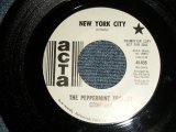 画像: The Peppermint Trolley Company - A)New York City  B)Spinnin' Whirlin' 'Round (Ex++/Ex++) / 1969 US AMERICA ORIGINAL "WHHITE LABEL PROMO" Used 7" inch Single