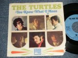 画像: THE TURTLES - A)YOU KNOW WHAT I MEAN  B)RUGS OF WOODS & FLOWERS  VG/VG+++, Ex++Looks*Ex+++)  / 1967 US AMERI CA ORIGINAL "With PICTURE SLEEVE" Used 7"Single