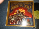 画像: GRATEFUL DEAD - GRATEFUL DEAD  (Ex+/Ex+++)  / 1968 Version US AMERICA ORIGINAL 2nd Press "GREEN with 'W7' Label" STEREO Used LP 