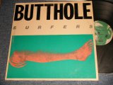 画像: BUTTHOLE SURFERS - REMBRANDT PUSSYHORSE (Ex+, VG+/MINT TEAROBC) / 1986 US AMERICA ORIGINAL Used LP
