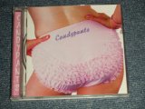 画像: CANDYPANTS - CANDYPANTS  (MINT-/MINT) / 2000 US AMERICA ORIGINAL Used CD