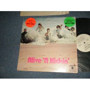 画像: ALIVE 'N KICKIN' - ALIVE 'N KICKIN'  (Ex++/MINT- BB HOLE for PROMO EDSP, SPLIT) / 1970 US AMERICA ORIGINAL "WHITE LABL PROMO" Used LP