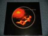 画像: RASCO - The BIRTH (SEALED)/ 1999 US AMERICA ORIGINAL "BRAND NEW SEALED" Double 2 x12"  