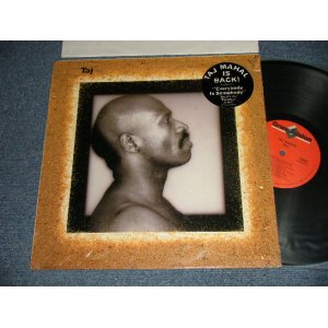 画像: TAJ MAHAL - TAJ (MINT-/MINT-) / 1986 US AMERICA ORIGINAL Used LP