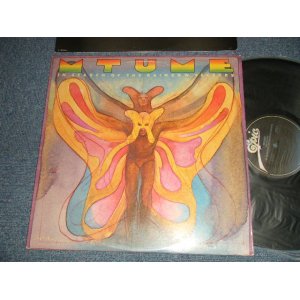 画像: MTUME - IN SEARCH OF THE RAINBOW SEEKERS (With CUSTOM INNER) (Ex+/MINT-) / 1980 US AMERICA ORIGINAL Uded LP 