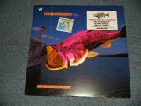 画像: THE RADIATORS - LAW OF THE FISH (Sealed BB) / 1987 US AMERICA ORIGINAL "BRAND NEW SEALED" LP