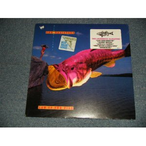 画像: THE RADIATORS - LAW OF THE FISH (Sealed BB) / 1987 US AMERICA ORIGINAL "BRAND NEW SEALED" LP
