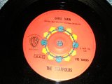 画像: The Scaffolds - A)Ghost Train   B)You (Ex+++/Ex+++) / 1966 FINLAND ORIGINLAL Used 7" Singles 