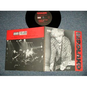 画像: Birdland - Rock 'n' Roll Nigger (Ex+++/MINT-) / 1990 UK EMGLAND ORIGINAL Used 7" EP with PICTURE SLEEVE