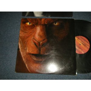 画像: JOHN FOGERTY (of CCR CREEDENCE CLEARWATER REVIVAL) - EYE OF THE ZOMBIE (With CUSTOM INNER ) (Ex++/Ex+++) / 1986 US AMERICA ORIGINAL Used LP 