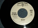 画像: The IDES OF MARCH - MELODY  A)MONO  B) STEREO (Ex+/Ex+) / 1970 US AMERICA ORIGINAL "PROMO ONLY" Used 7" Single