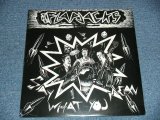 画像: The Flapjacks - Say What You Mean (SEALED) / 1993 US AMERICA ORIGINAL "BARND NEW SEALED" LP