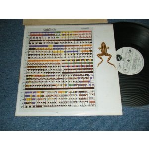 画像: M. FROG /  M.FROG - M. FROG / LA BAT (Ex++/Ex+++ TOC) / 1973 US AMERICA ORIGINAL "WHITE LABEL PROMO" Used LP 