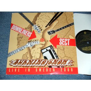 画像: DOWNLINERS SECT - BURNING SNOWL IVE IN SWEDEN 2000 (NEW EDSP) / 2000 SPAIN  ORIGINAL "BRAND NEW" 10" LP