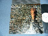 画像: SIOUXSIE & THE BANSHEES - JUJU (With CUSTOM INNER SLEEVE)  (MINT/MINT) / 1981 US AMERICA REISSUE Used LP