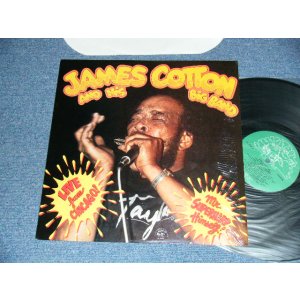 画像: JAMES COTTON And His BIG BAND - Live From Chicago - Mr. Superharp Himself! (MINT-/MINT-) / 1986 US AMERICA ORIGINAL Used LP 