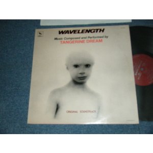 画像: TANGERINE DREAM - WAVELENGTH (Original Soundtrack) (Ex++/Ex+++) / 1983 US AMERICA ORIGINAL Used LP 