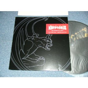 画像: KRYPTONIX - LES COMTES DE LA KRYPT (NEW) / 2001 GERMANY GERMAN ORIGINAL "PICTURE DISC" "BRAND NEW"  LP Used LP