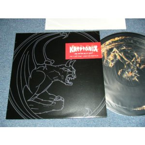 画像: KRYPTONIX - LES COMTES DE LA KRYPT (MINT-/Ex+++) / 2001 GERMANY GERMAN ORIGINAL "PICTURE DISC" Used LP Used LP