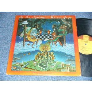 画像: MARVIN GAYE - IN OUR LIFETIME  (Ex+/Ex++) / 1981 US AMERICA  ORIGINAL Used LP 
