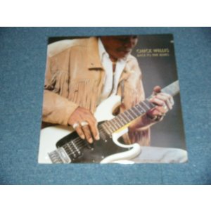画像: Chick Willis - Back To The Blues  (Sealed) / 1991 US AMERICA  ORIGINAL "BRAND NEW SEALED" LP