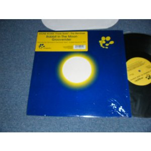 画像: STONE ROSES - FOOLS GOLD : THE REMIXES (MINT/MINT) / 1999 US AMERICA ORIGINAL Used 12" 