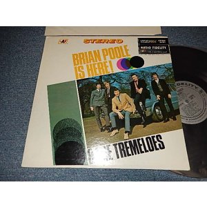 画像: BRIAN POOLE & THE TREMELOES - BRIAN POOLE IS HERE (Ex+++/Ex+++ Looks:Ex++)  / 1965 US AMERICA ORIGINAL STEREO  Used LP 