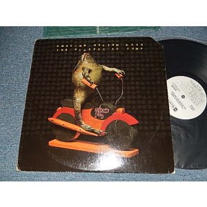 画像: AMAZING RHYTHM ACES - TOO STUFFED JUMP (NOLYRIC INSERTS) (Ex++/Ex+++ Looks:MINT- CUT OUT for PROMO) / 1976 US AMERICA ORIGINAL "WHITE LABEL PROMO"  Used LP