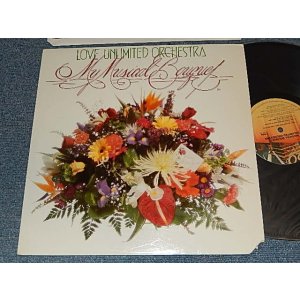 画像: LOVE UNLIMITED ORCHESTRA (BARRY WHITE) - MY MUSICAL BOUQUET (With CUSTOM INNER) (Ex+/Ex CUT OIUT) / 1978 US AMERICA ORIGINAL Used LP