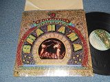 画像: SHA NA NA   Shanana - ROCK & ROLL IS HERE TO STAY (MINT-/Ex+++ EDS@P) / 1973 Version US AMERICA REISSUE Used LP