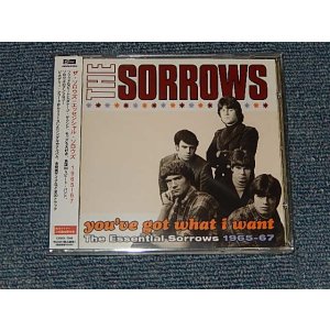 画像: THE SORROWS - YOU GOT WHAT I WANT : THE ESSENTIAL SORROWS 1965-67 (SEALED) / 2010 US AMERICA ORIGINAL + JAPAN OBI&LINER 輸入盤国内仕様 "BRAND NEW SEALED"  CD with OBI 