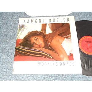 画像: LAMONT DOZIER - WORKING ON YOU  (Ex++/Ex+++) / 1981 US AMERICA ORIGINAL Used LP 