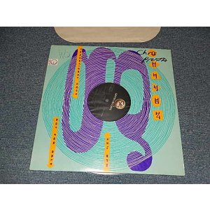 画像: AEROSMITH - DUDE(MINT-/MINT) / 1987 US AMERICA ORIGINAL "PROMO ONLY" Used  12" Single