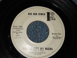 画像: BIG DEE IRWIN (NORTHERN SOUL)  - A)You Satisfy My Needs    B) I Wanna Stay Right Here With You (Ex+/Ex+) / 1965 US AMERICA ORIGINAL "WHITE LABEL PROMO"  Used 7" Single