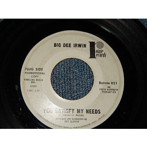画像: BIG DEE IRWIN (NORTHERN SOUL)  - A)You Satisfy My Needs    B) I Wanna Stay Right Here With You (Ex+/Ex+) / 1965 US AMERICA ORIGINAL "WHITE LABEL PROMO"  Used 7" Single