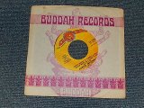 画像: CURTIS MAYFIELD - A)(Don't Worry) If There's A Hell Below We're All Going To Go  Ｂ）The Makings Of You (MINT/MINT) / 197０US AMERICA ORIGINAL Used 7"45 