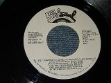 画像: SALSOUL ORCHESTRA  - A) SGT. PEPPERS LONELY HEARTS CLUB BAND   B) EASE ON DOWN THE ROAD (A:MINT-/B:MINT-)  /1978 US AMERICA ORIGINAL "WHITE LABEL PROMO"  Used 7"45 
