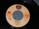 画像: SNEAKERS - A) LIES   B) THINGS WE SAID TODAY (MINT-/MINT-)  / 1980 US AMERICA  ORIGINAL Used 7" Single