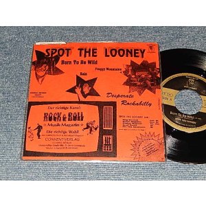 画像: SPOT THE LOONEY - WILD (A:Born To Be Wild	B1:Rain	 B2:Foggy Mountains) (Ex++/MINT-) / 1994 GERMENY GERMAN ORIGINAL Used 7" EP with PICTURE COVER and OUTER VINYL BAG