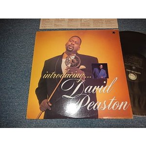 画像: DAVID PEASTON - INTRODUCING (With CUSTOM INNER) (Ex+/Ex+ Looks:Ex++) / 1989 US AMERICA  ORIGINAL Used LP 