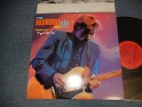 画像: DAVE EDMUNDS BAND - LIVE I HEAR YOU KNOCKOUT (With CUSTOM INNER SLEEVE) (Ex+MINT) / 1987 US AMERICA ORIGINAL "PROMO GOLD STAMP" Used  LP 