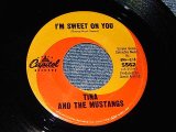 画像: Tina And The Mustangs - A) I'm Sweet On You   B) Smokey Joe's (Ex+++/Ex+++) / 1966 US AMERICA ORIGINAL Used 7"45 rpm