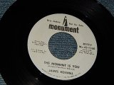 画像: JAMES ROSWELL - THE MOMENT IS YOU  A) MONO   B) STEREO (MINT-/MINT-) / 1969 US AMERICA ORIGINAL "PROMO ONLY SAME FLIP" Used 7"45 rpm