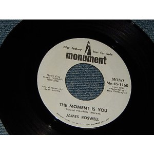 画像: JAMES ROSWELL - THE MOMENT IS YOU  A) MONO   B) STEREO (MINT-/MINT-) / 1969 US AMERICA ORIGINAL "PROMO ONLY SAME FLIP" Used 7"45 rpm
