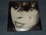 画像: IAN McCULLOCH (Echo And The Bunnymen) - CANDLELAND (SEALED BB) /1989 CANADA ORIGINAL "BRAND NEW SEALED" LP 