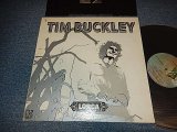 画像: TIM BUCKLEY - LORA  (Ex+/Ex++ BB)⋰/ 1970 AUSTRALIA ORIGINAL "BUTTERFLY with 15 COLUMBUS Label" Label" Used LP 