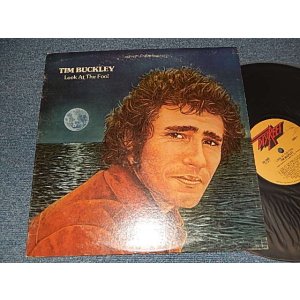 画像: TIM BUCKLEY - LOOK AT THE FOOL (Ex+/Ex+) / 1974 US AMERICA  ORIGINAL Used LP 