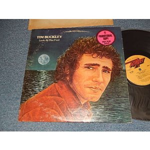 画像: TIM BUCKLEY - LOOK AT THE FOOL (Ex-/Ex++ EDSP) / 19734US AMERICA  ORIGINAL "PROMO" Used LP 