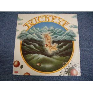 画像: BUCKEYE - BUCKEYE  / 1979 US ORIGINALSEALED LP